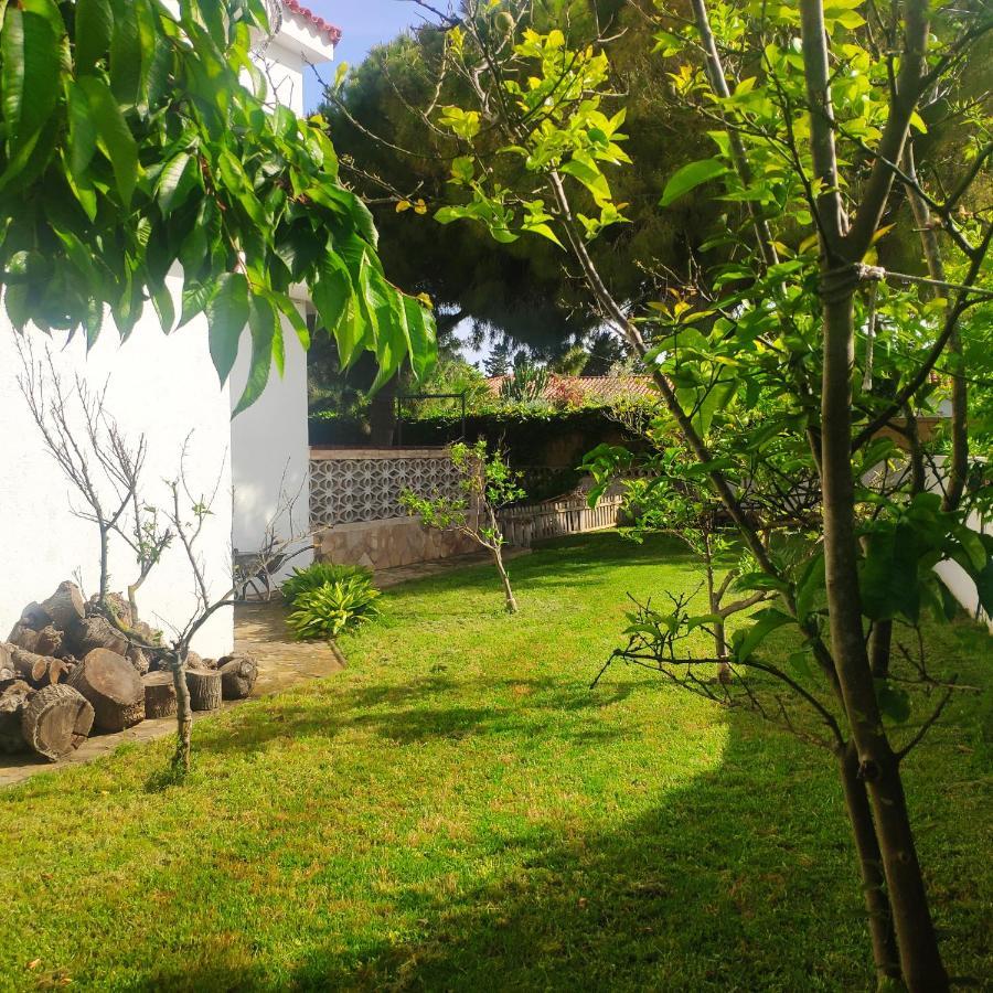 Cala Llanetes Villa บินารอส ภายนอก รูปภาพ