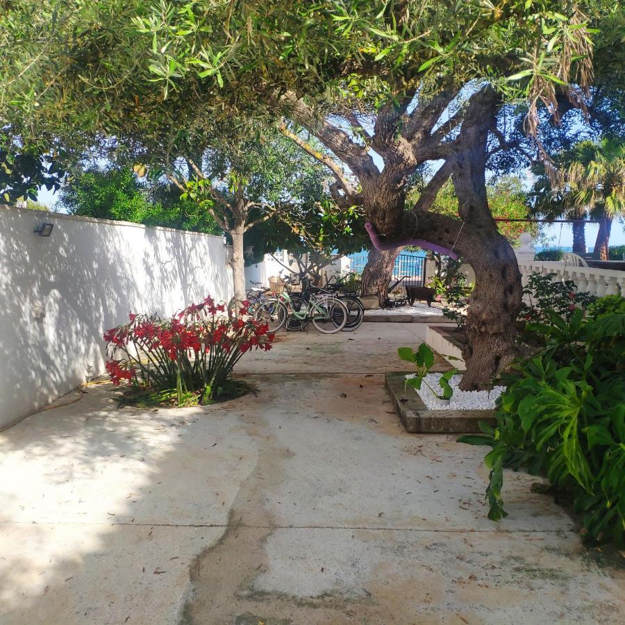 Cala Llanetes Villa บินารอส ภายนอก รูปภาพ